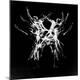 Premium Photographic Print