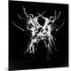 Premium Photographic Print