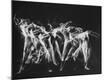 Premium Photographic Print