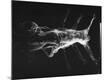 Premium Photographic Print