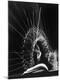 Premium Photographic Print