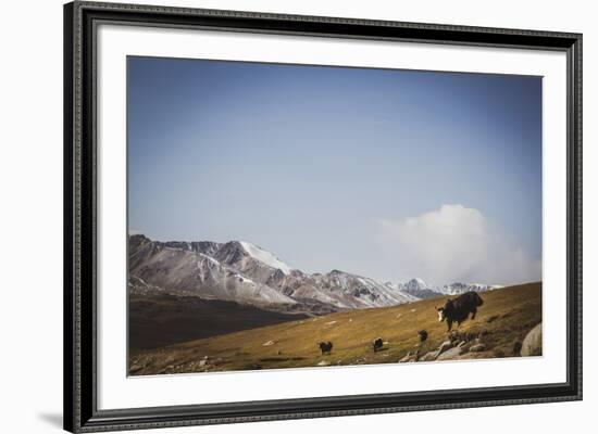 Glacial Elevation-Andrew Geiger-Framed Giclee Print