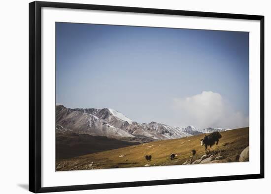 Glacial Elevation-Andrew Geiger-Framed Giclee Print