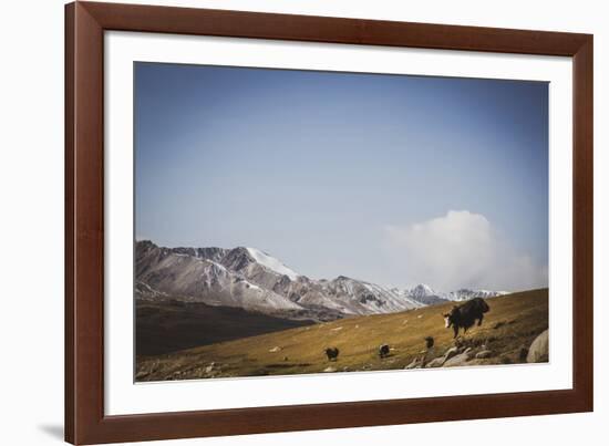 Glacial Elevation-Andrew Geiger-Framed Giclee Print