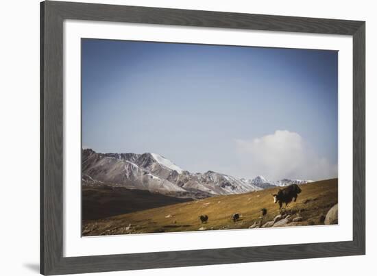 Glacial Elevation-Andrew Geiger-Framed Giclee Print