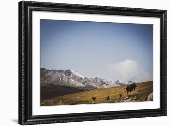 Glacial Elevation-Andrew Geiger-Framed Giclee Print