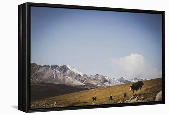 Glacial Elevation-Andrew Geiger-Framed Stretched Canvas