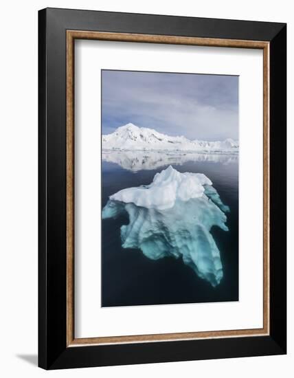 Glacial Ice Floating in the Neumayer Channel Near Wiencke Island, Antarctica, Polar Regions-Michael Nolan-Framed Photographic Print