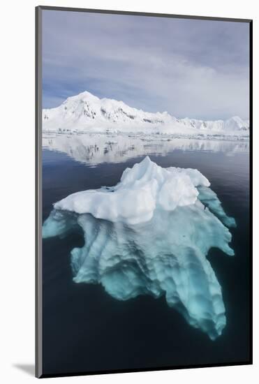 Glacial Ice Floating in the Neumayer Channel Near Wiencke Island, Antarctica, Polar Regions-Michael Nolan-Mounted Photographic Print