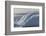 Glacial Iceberg Detail at Cuverville Island, Antarctica, Polar Regions-Michael Nolan-Framed Photographic Print