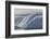 Glacial Iceberg Detail at Cuverville Island, Antarctica, Polar Regions-Michael Nolan-Framed Photographic Print