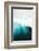 Glacial Iceberg Floating Along Coast, Spitsbergen, Svalbard, Norway-Steve Kazlowski-Framed Photographic Print