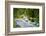 Glacial Stream, Milford Sound, New Zealand-Rona Schwarz-Framed Photographic Print