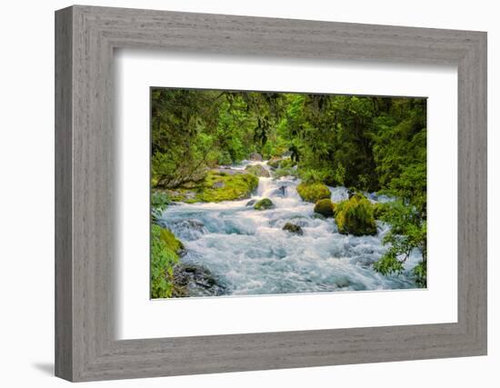 Glacial Stream, Milford Sound, New Zealand-Rona Schwarz-Framed Photographic Print