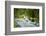 Glacial Stream, Milford Sound, New Zealand-Rona Schwarz-Framed Photographic Print