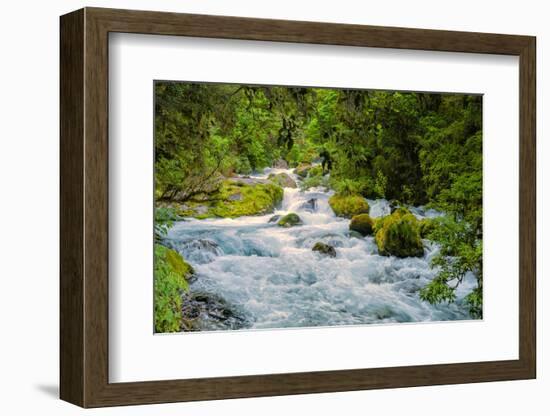 Glacial Stream, Milford Sound, New Zealand-Rona Schwarz-Framed Photographic Print