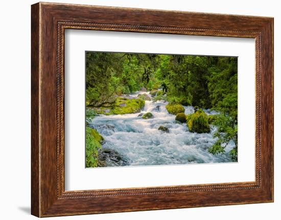 Glacial Stream, Milford Sound, New Zealand-Rona Schwarz-Framed Photographic Print