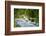 Glacial Stream, Milford Sound, New Zealand-Rona Schwarz-Framed Photographic Print