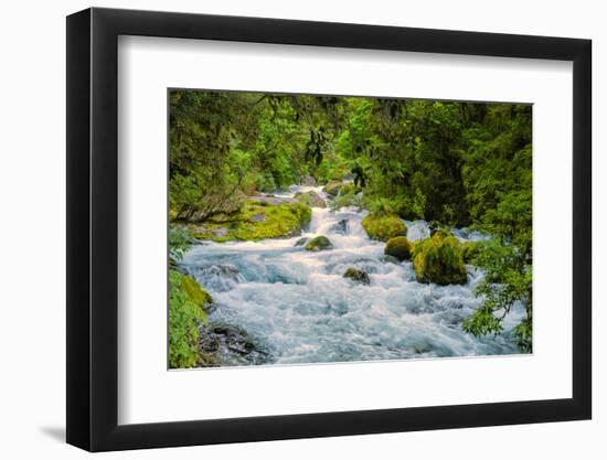 Glacial Stream, Milford Sound, New Zealand-Rona Schwarz-Framed Photographic Print