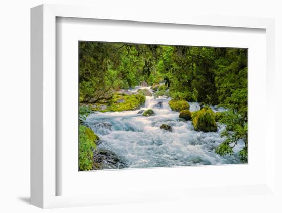 Glacial Stream, Milford Sound, New Zealand-Rona Schwarz-Framed Photographic Print