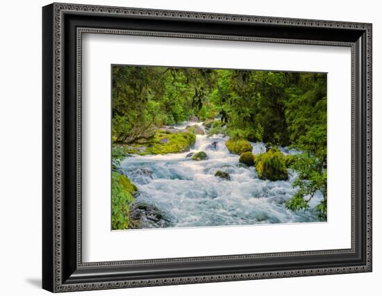 Glacial Stream, Milford Sound, New Zealand-Rona Schwarz-Framed Photographic Print