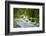 Glacial Stream, Milford Sound, New Zealand-Rona Schwarz-Framed Photographic Print