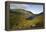 Glacial Valley, Scotland-Duncan Shaw-Framed Premier Image Canvas