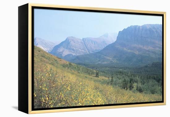 Glacier 8A-Gordon Semmens-Framed Premier Image Canvas