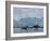 Glacier, Argentine Research Station, Paradise Bay, Antarctic Peninsula, Antarctica, Polar Regions-Thorsten Milse-Framed Photographic Print