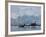 Glacier, Argentine Research Station, Paradise Bay, Antarctic Peninsula, Antarctica, Polar Regions-Thorsten Milse-Framed Photographic Print