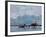 Glacier, Argentine Research Station, Paradise Bay, Antarctic Peninsula, Antarctica, Polar Regions-Thorsten Milse-Framed Photographic Print