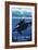 Glacier Bay, Alaska - Orca and Calf-Lantern Press-Framed Art Print