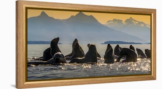 Glacier Bay National Park, Alaska-Art Wolfe Wolfe-Framed Premier Image Canvas