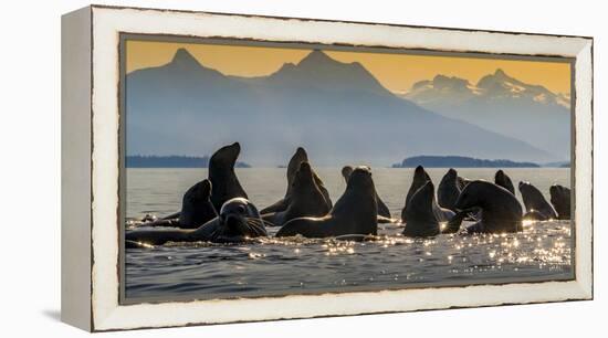 Glacier Bay National Park, Alaska-Art Wolfe Wolfe-Framed Premier Image Canvas