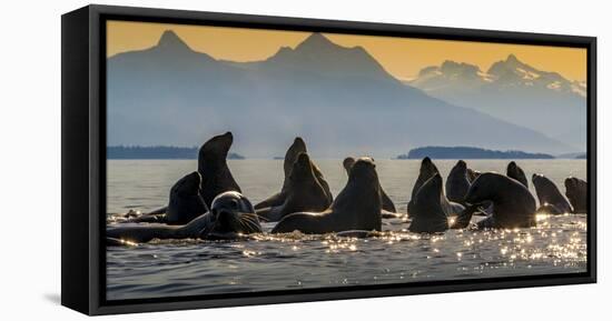 Glacier Bay National Park, Alaska-Art Wolfe Wolfe-Framed Premier Image Canvas