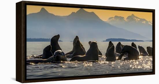 Glacier Bay National Park, Alaska-Art Wolfe Wolfe-Framed Premier Image Canvas