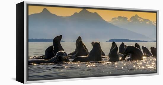 Glacier Bay National Park, Alaska-Art Wolfe Wolfe-Framed Premier Image Canvas