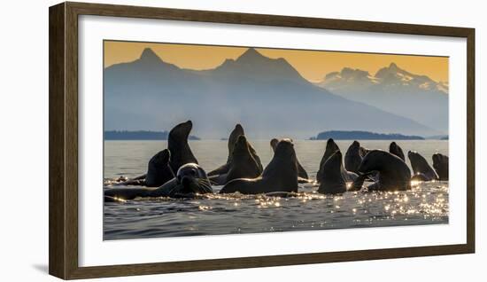 Glacier Bay National Park, Alaska-Art Wolfe Wolfe-Framed Photographic Print