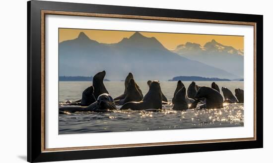 Glacier Bay National Park, Alaska-Art Wolfe Wolfe-Framed Photographic Print