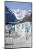 Glacier Bay National Park in Alaska-Paul Souders-Mounted Photographic Print