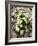 Glacier Crowfoot (Ranunculus Glacialis)-Bob Gibbons-Framed Photographic Print