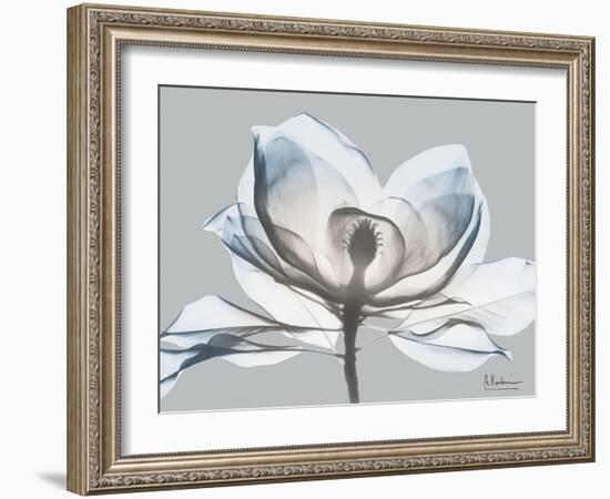 Glacier Dipped Magnolia 1-Albert Koetsier-Framed Art Print