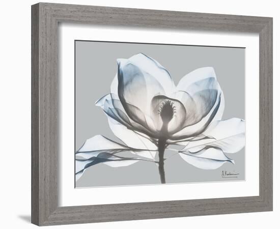 Glacier Dipped Magnolia 1-Albert Koetsier-Framed Art Print