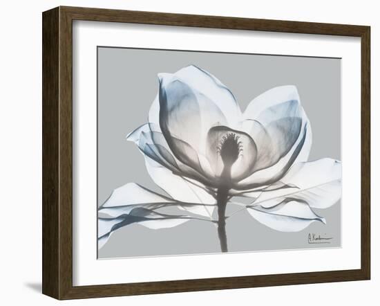 Glacier Dipped Magnolia 1-Albert Koetsier-Framed Art Print