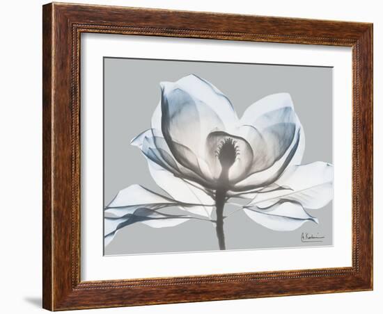 Glacier Dipped Magnolia 1-Albert Koetsier-Framed Art Print