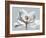 Glacier Dipped Magnolia 1-Albert Koetsier-Framed Art Print