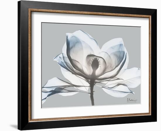 Glacier Dipped Magnolia 1-Albert Koetsier-Framed Art Print