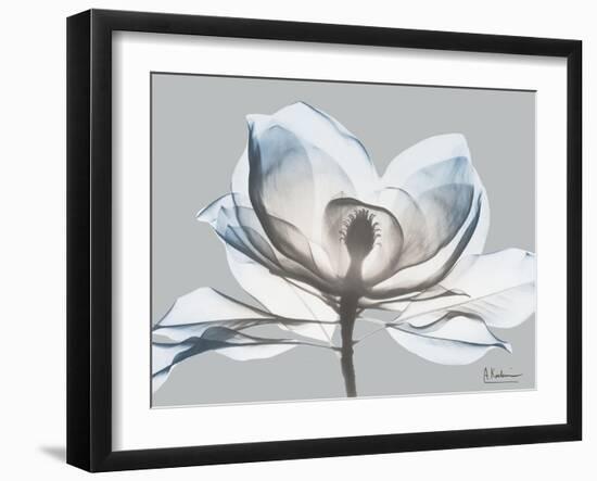 Glacier Dipped Magnolia 1-Albert Koetsier-Framed Art Print