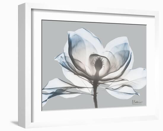 Glacier Dipped Magnolia 1-Albert Koetsier-Framed Art Print