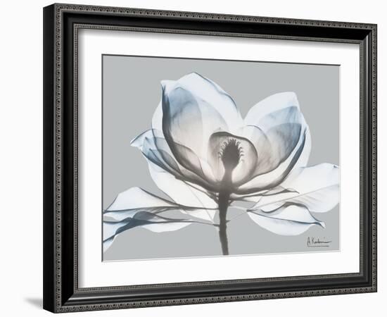 Glacier Dipped Magnolia 1-Albert Koetsier-Framed Art Print